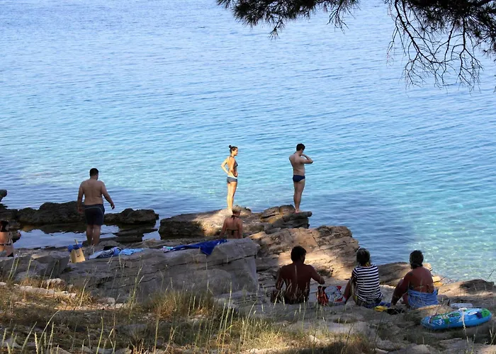 Апартаменты 8123a *